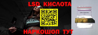 стафф Дубна