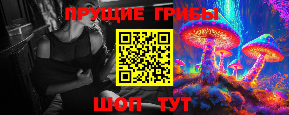 Галлюциногенные грибы мицелий Камень-на-Оби