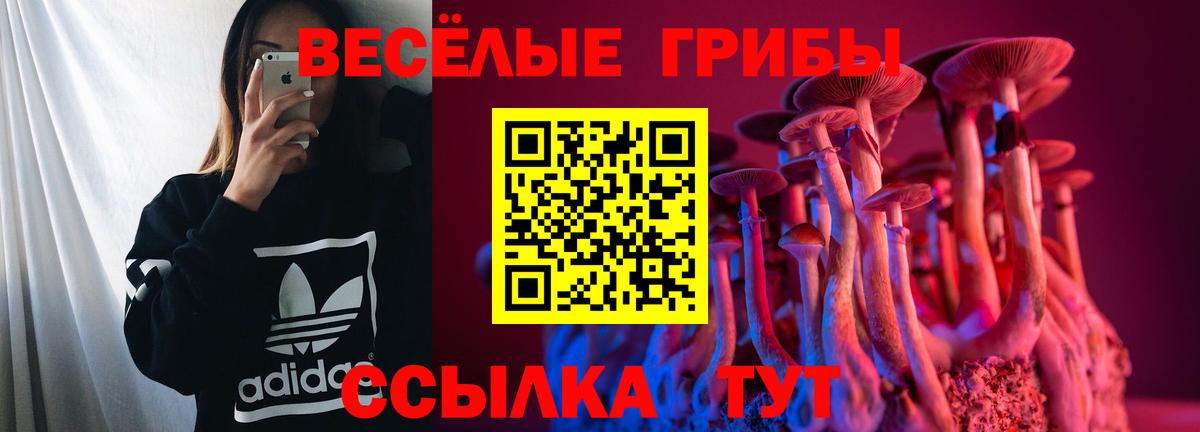 Псилоцибиновые грибы мицелий  Вход с VPN  что такое наркотик  Камень-на-Оби 